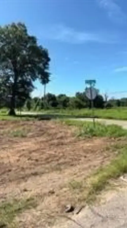 Picture 10