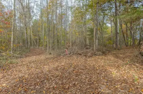 Cohutta Land for Dream Home