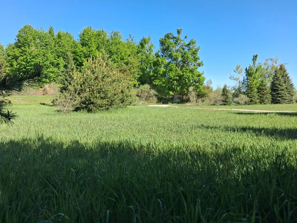 Picture 5