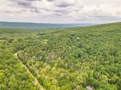 38.5 Acres in Finger Lakes