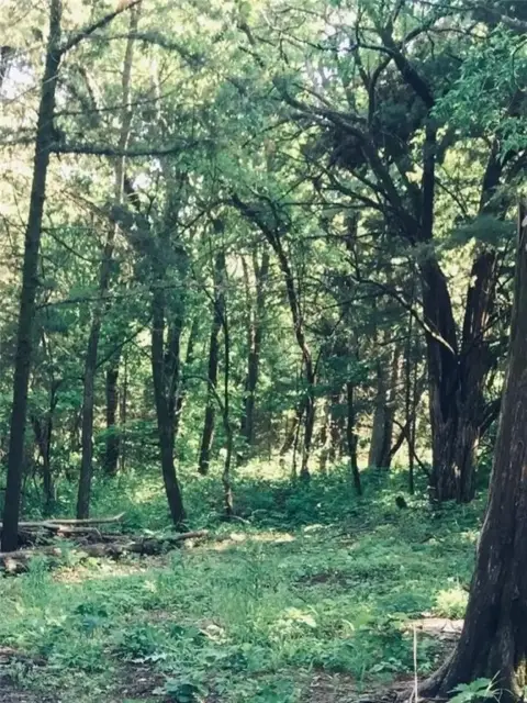 Recreational Land Near Sugar Valley Lakes