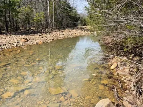 79 Acres Bordering National Forest