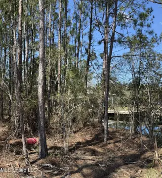 Commercial Land in Bay Saint Louis