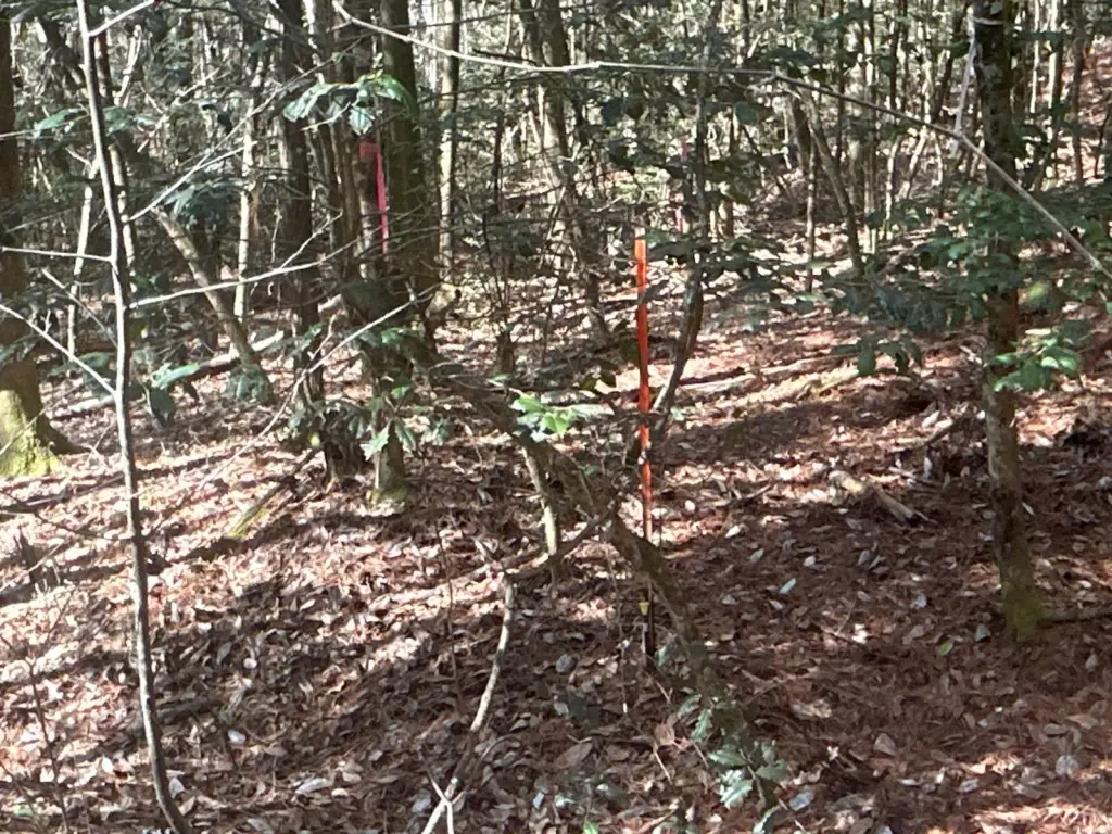 Picture 36