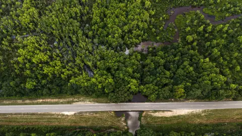 Recreational Land in Tishomingo County