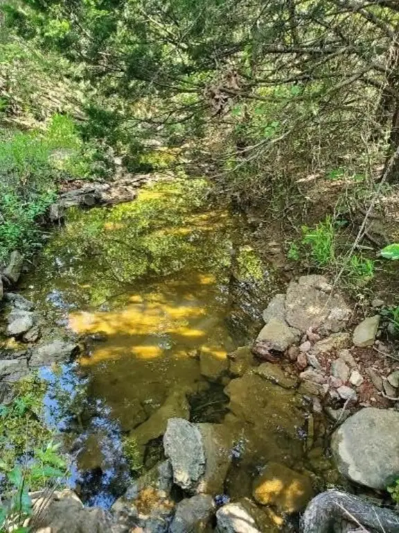 Picture 8