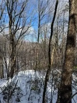 Jasper, GA Vacant Lot