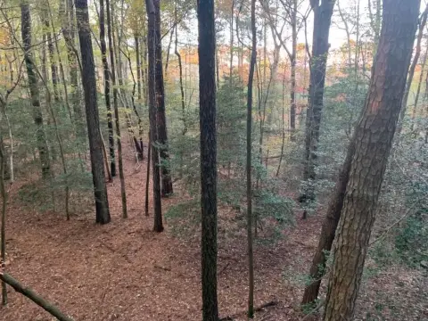 Recreational Land with Hunting Potential