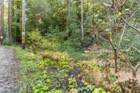 Land in Felton's Heart