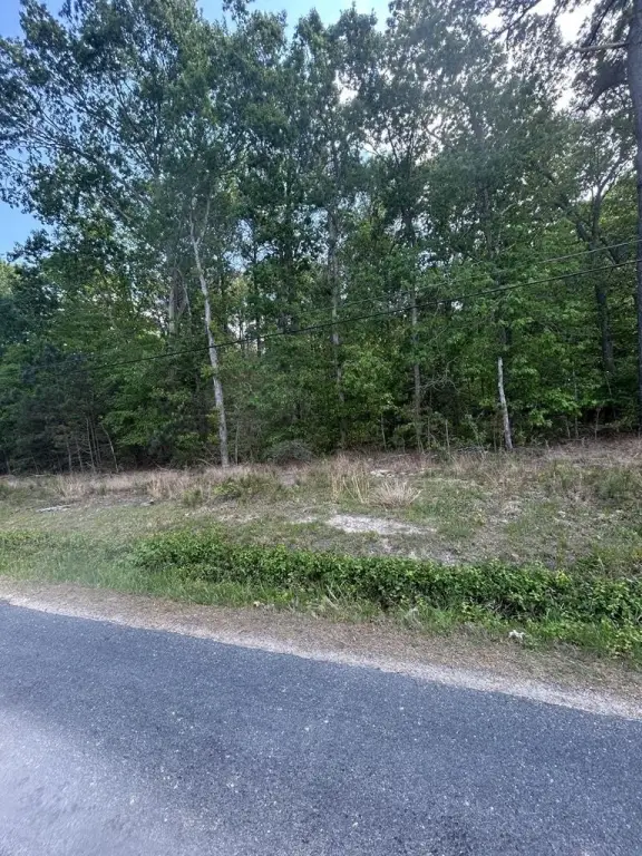 Picture 2