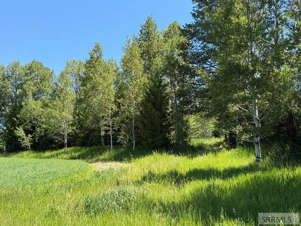 Picture 7