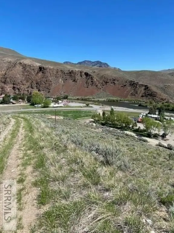 Picture 5