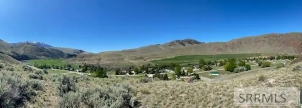 Picture 6