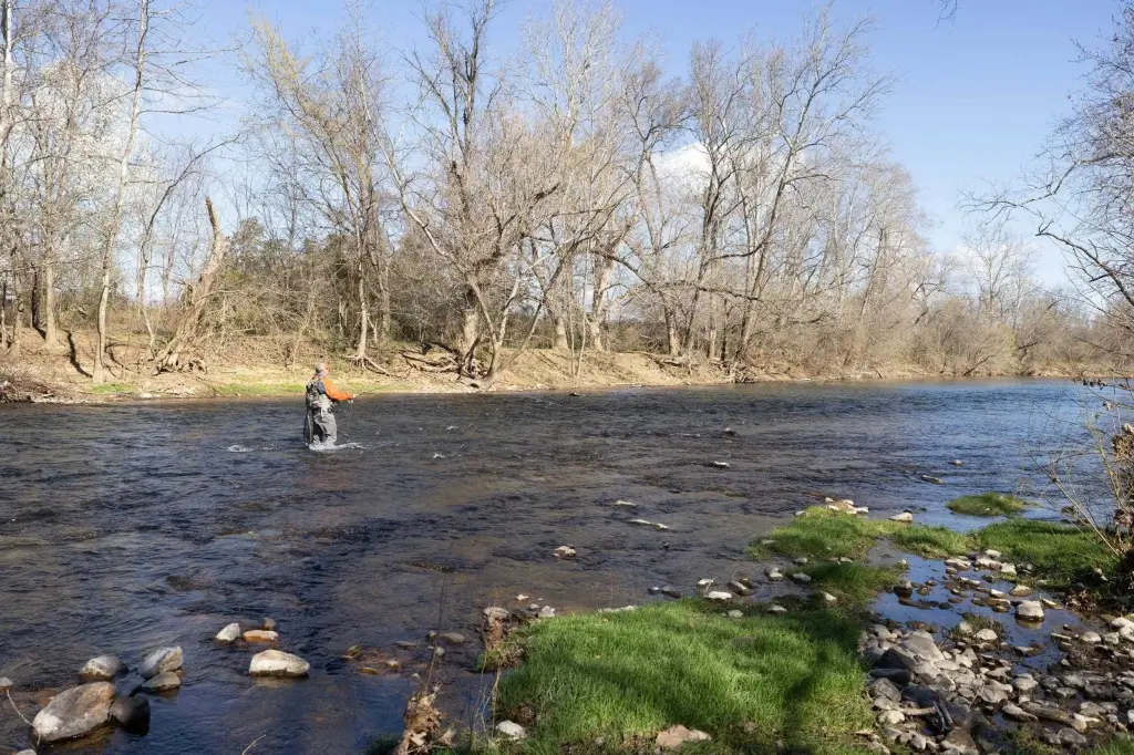 Picture 23