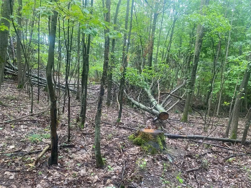 Picture 17