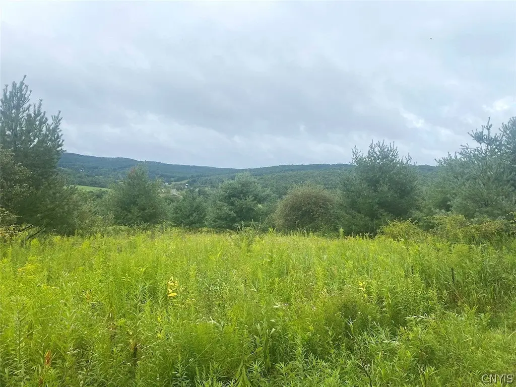 Picture 8