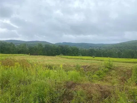 Creekfront Hunting Land
