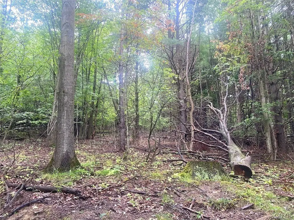 Picture 15