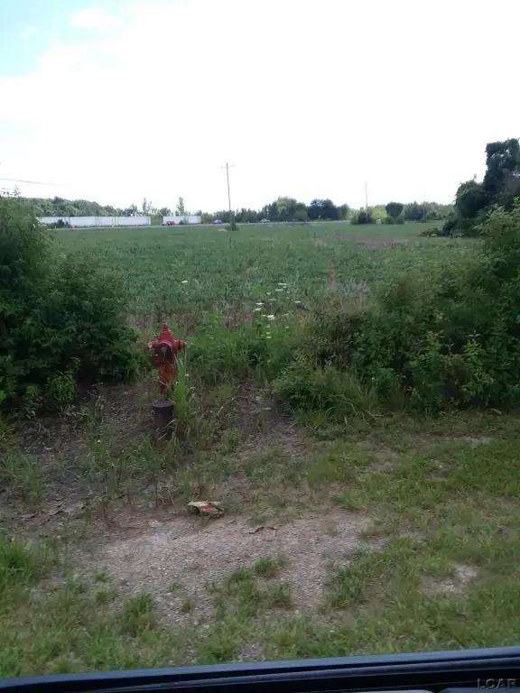 Picture 6