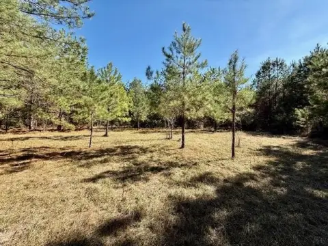 Kirbyville Land with Pine Plantation