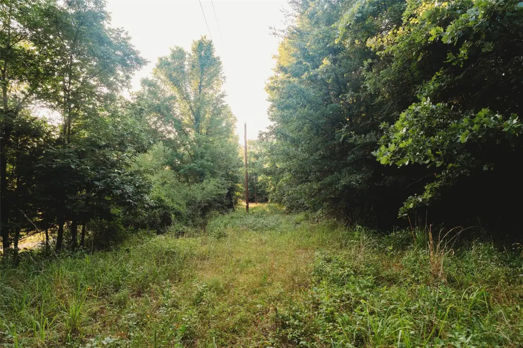 Picture 21