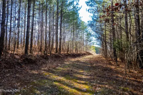 Wooded Recreational Land