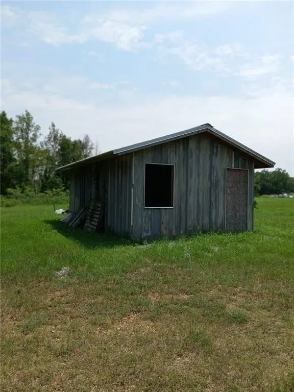 Picture 5