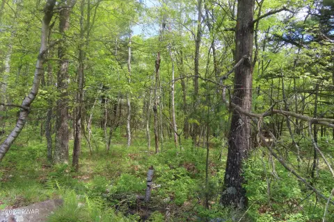 One Acre Wooded Corner Lot