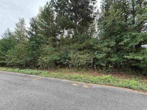 Subdivision Lot in Nashville, AR
