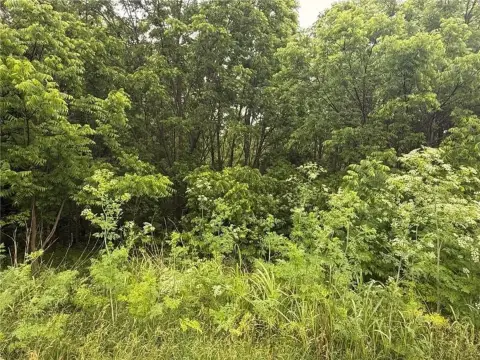 Wooded Land Near Lake Ozarks