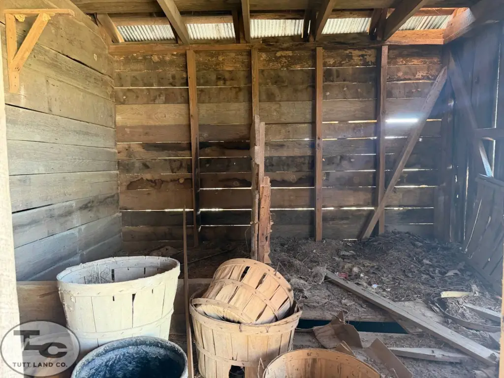 Picture 22