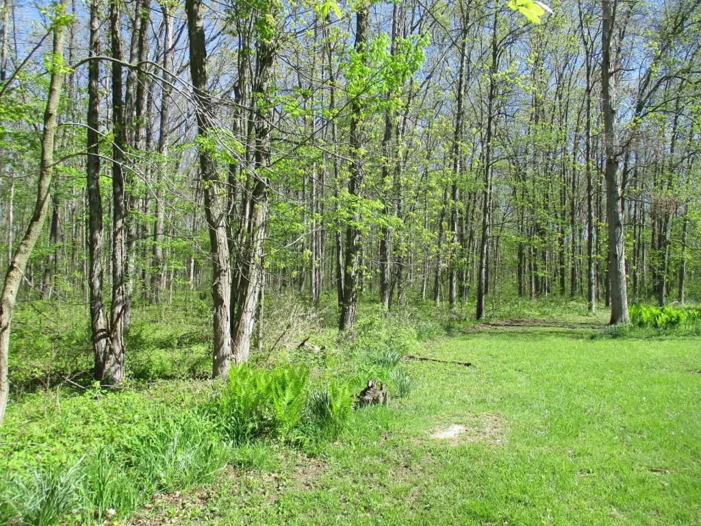 Picture 8