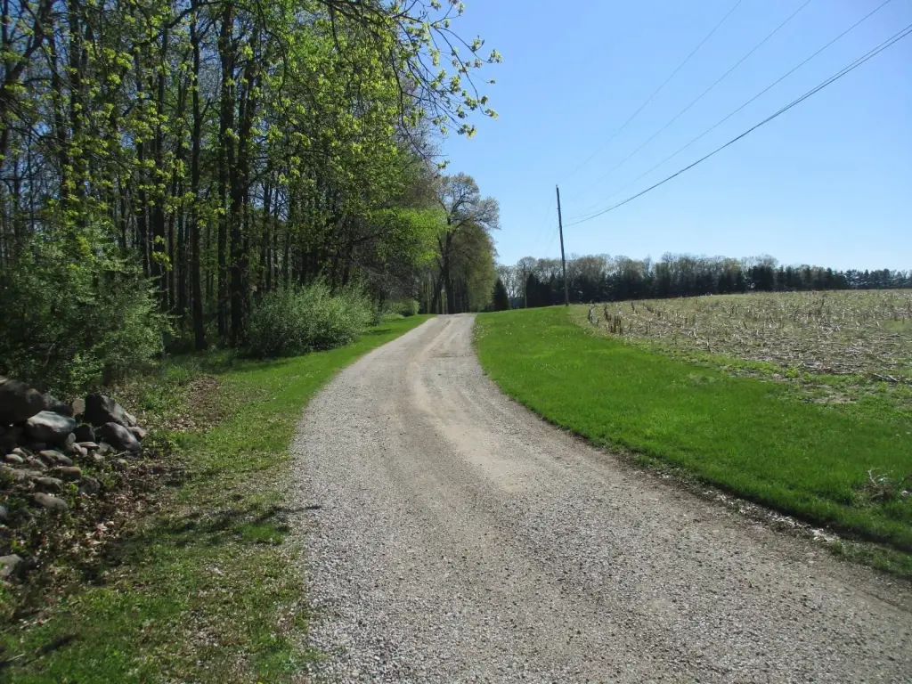 Picture 9