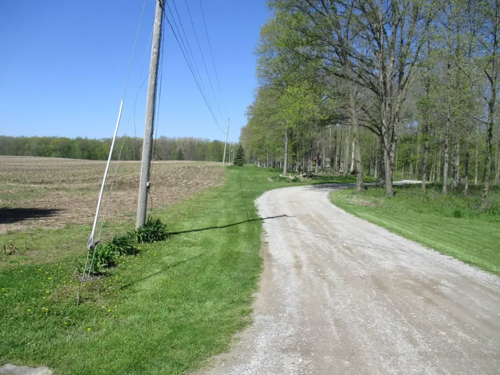 Picture 11