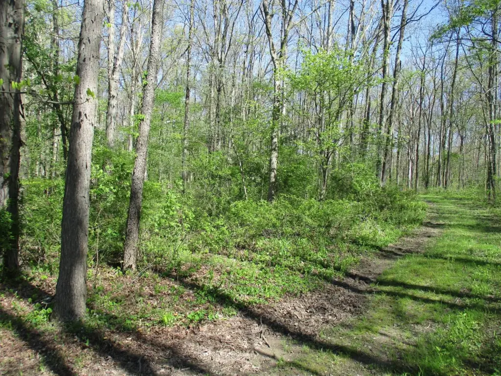 Picture 3