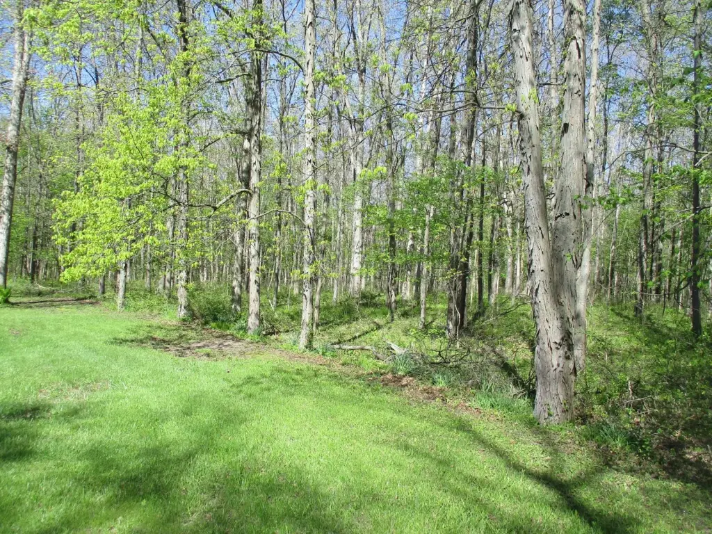 Picture 4