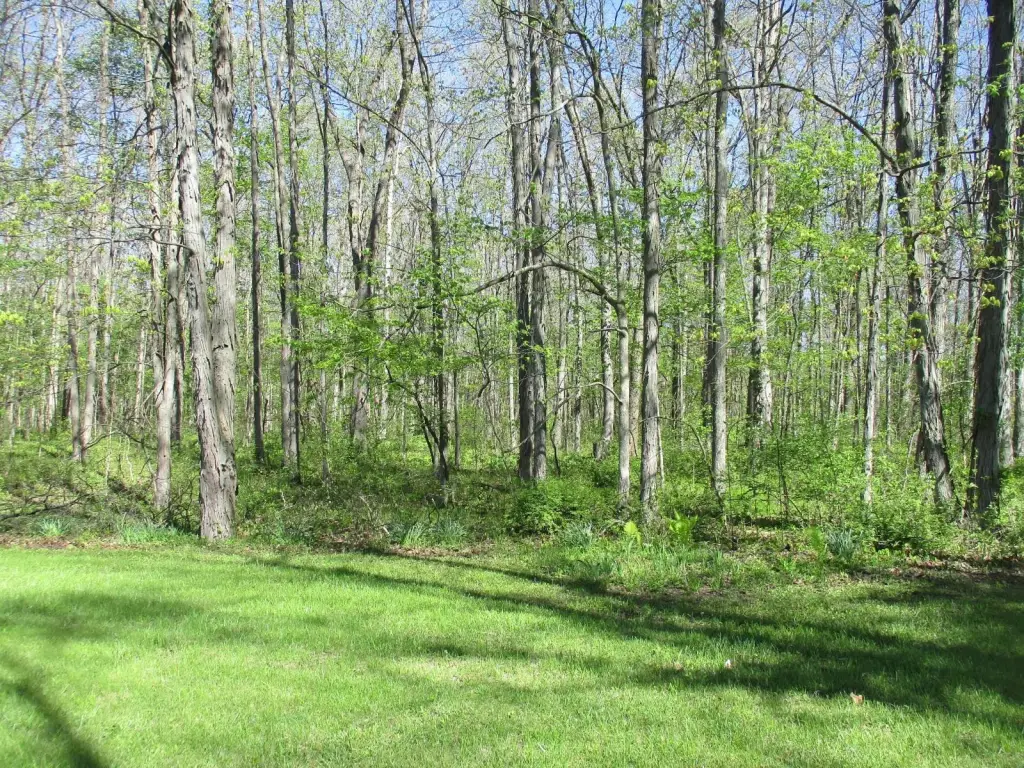 Picture 5