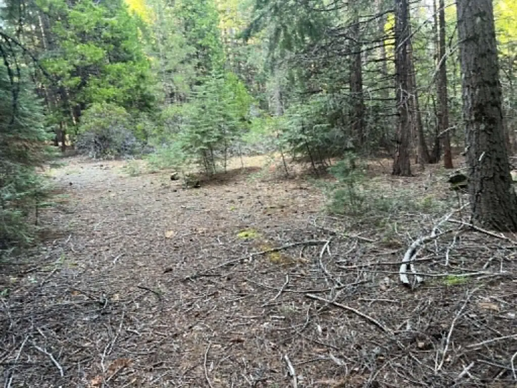 Picture 8