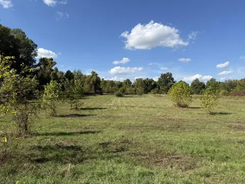 4.59 Acres Buildable Land Bangor