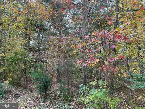 West River Land Opportunity