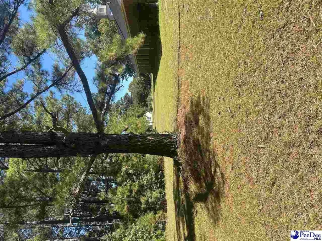 Picture 23