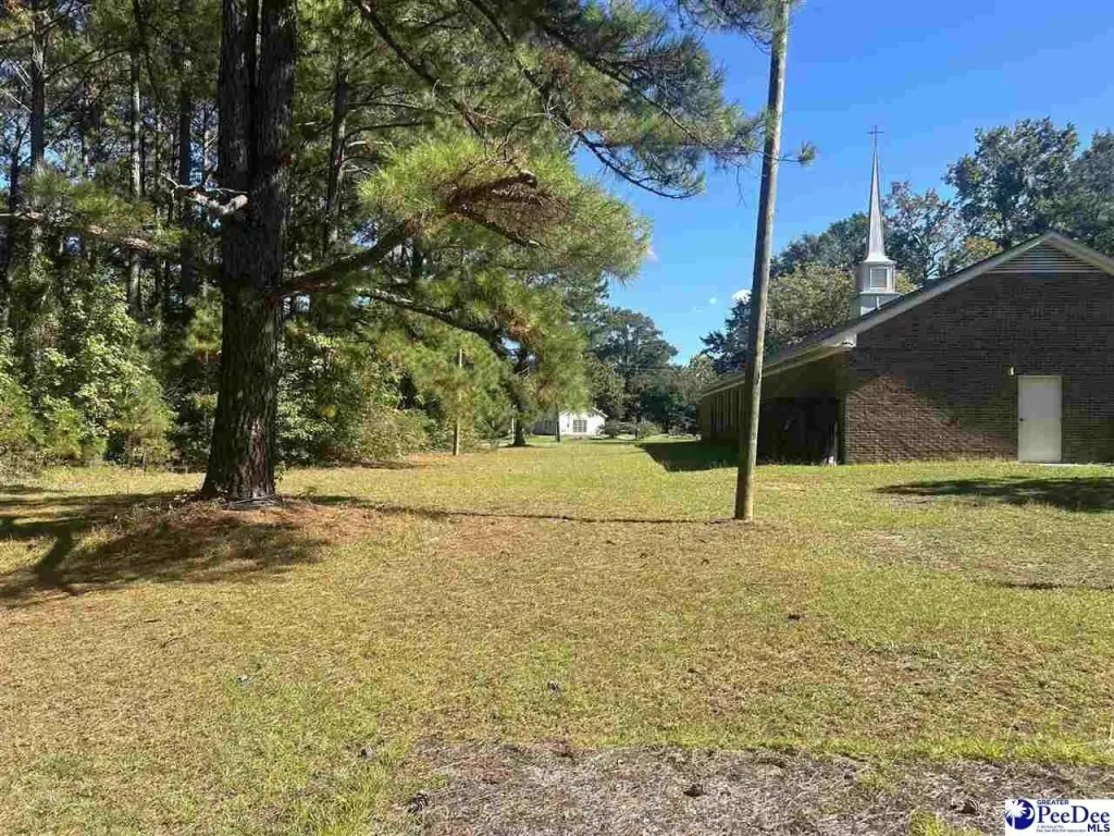 Picture 25