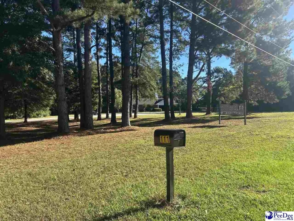 Picture 4