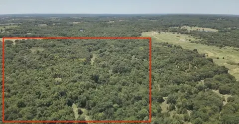 Wooded Hunting Land