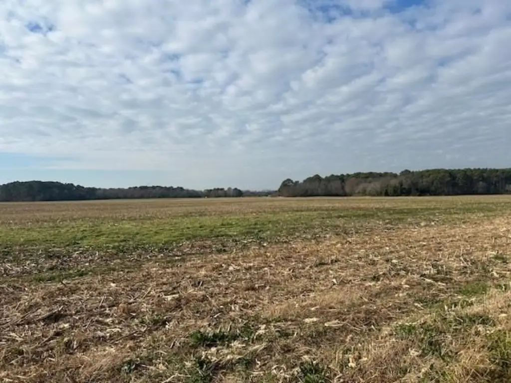 Picture 21