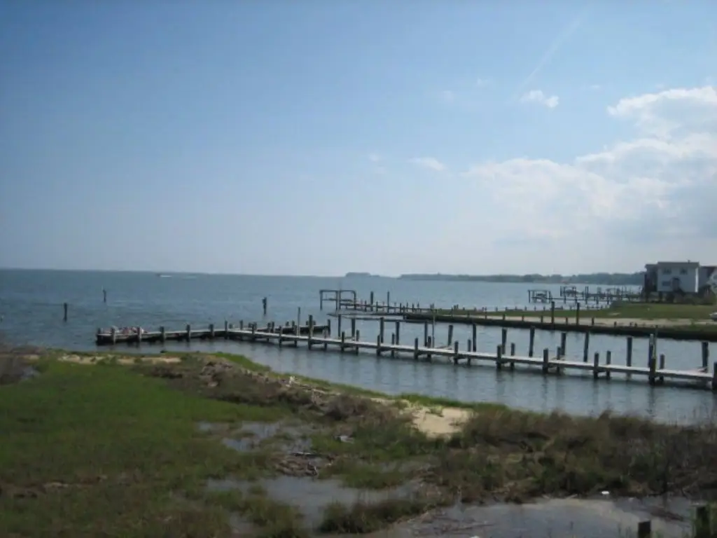 Picture 16