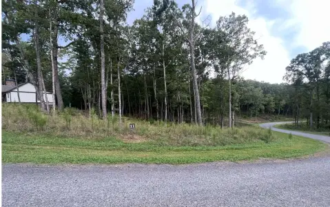 Ellijay Vacant Lot For Sale