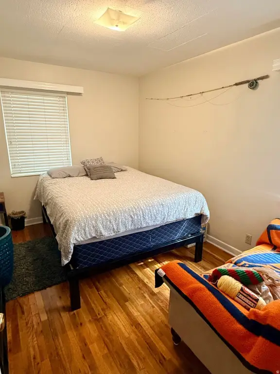 Picture 23