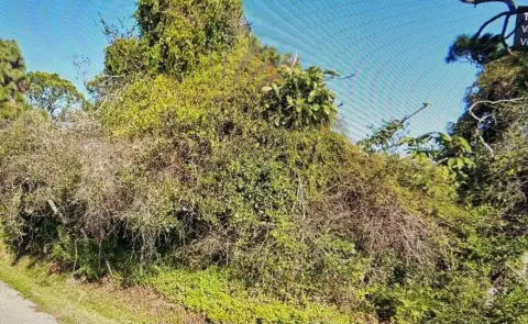 Residential Parcel in Desirable Venice