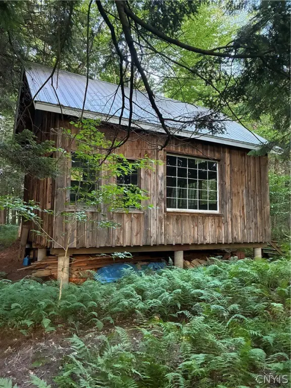 Picture 6